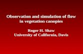 Observation and simulation of flow in vegetation canopies Roger H. Shaw University of California, Davis.