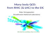 Many body QCD: from RHIC (& LHC) to the EIC Raju Venugopalan Brookhaven National Laboratory RBRC review, October 27-29, 2010 BNL Drell-Yan workshop, May.