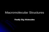 Macromolecular Structures Really Big Molecules. Macromolecular Structures Types of Macromolecular Structures Types of Macromolecular Structures Covalent.