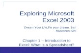 1 Dream Your Life,life your dream. Sari Mustonen-Kirk Chapter 1 – Introduction to Excel: What is a Spreadsheet? Exploring Microsoft Excel 2003.