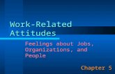 Work-Related Attitudes Chapter 5 Feelings about Jobs, Organizations, and People.