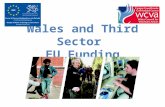 Wales and Third Sector EU Funding. Government of Wales Act 1998 sets out the National Assembly’s legal obligations to the sector and how it proposes,