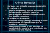 Animal Behavior Behavior – an animal’s response to stimuli in its environment –capacity for behavior is inherited but inherited behavior can be modified.