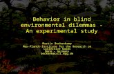 Behavior in blind environmental dilemmas - An experimental study Martin Beckenkamp Max-Planck-Institute for the Research on Collective Goods Bonn – Germany.