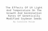 The Effects Of UV Light And Temperature On The Growth And Germination Rates Of Genetically Modified Soybean Seeds By Caroline Hsiao.
