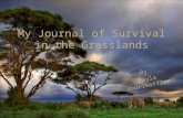 My Journal of Survival in the Grasslands By Kayla Underkoffler.
