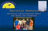 Bacteria Hunters Bacterial Concentrations Above and Below the Planetary Boundary Layer.