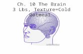 Ch. 10 The Brain 3 Lbs, Texture=Cold Oatmeal. What are the 4 Major Parts of the Brain? 1) Cerebral Hemispheres 2) Diencephalon 3) Brain Stem 4) Cerebellum.
