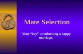 Mate Selection Your “key” to unlocking a happy marriage.