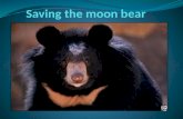 Why they need to be saved Moon bears need to be saved because the moon bears are kept in cages with space that is very minimal and they are kept to use.