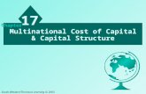 Multinational Cost of Capital & Capital Structure 17 Chapter South-Western/Thomson Learning © 2003.
