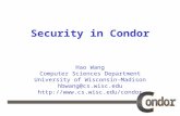 Hao Wang Computer Sciences Department University of Wisconsin-Madison hbwang@cs.wisc.edu  Security in Condor.