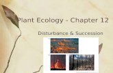 Plant Ecology - Chapter 12 Disturbance & Succession.