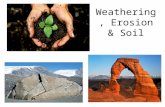 Weathering, Erosion & Soil. External Forces that Shape Earth: Weathering Weathering: processes that change the characteristics of rock Creates sediment,