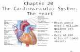 20-1 Chapter 20 The Cardiovascular System: The Heart Heart pumps over 1 million gallons per year Over 60,000 miles of blood vessels.