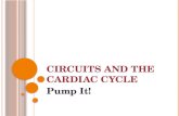 CIRCUITS AND THE CARDIAC CYCLE Pump It!. RECALL THE HEART A series of FOURS : 4 CHAMBERS: two ATRIA and two VENTRICLES 4 VALVES: two ATRIOVENTRICULAR.