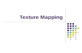 Texture Mapping. Example Mappings Mapping Techniques Consider the problem of rendering a sphere in the examples The geometry is very simple - a sphere.