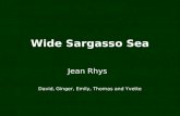 Jean Rhys David, Ginger, Emily, Thomas and Yvette Wide Sargasso Sea.