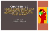 CHAPTER 17 SEVERE AGGRESSIVE & SELF DESTRUCTIVE BEHAVIOR: MENTALISTIC ATTRIBUTION STEVE HOLBURN TINA DASS CALDWELL COLLEGE.