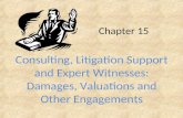 Chapter 15 Consulting, Litigation Support and Expert Witnesses: Damages, Valuations and Other Engagements.