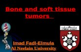 Bone and soft tissue tumors Imad Fadl-Elmula Al Neelain University.