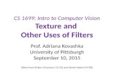 CS 1699: Intro to Computer Vision Texture and Other Uses of Filters Prof. Adriana Kovashka University of Pittsburgh September 10, 2015 Slides from Kristen.
