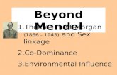Beyond Mendel 1.Thomas Hunt Morgan (1866 - 1945) and Sex linkage 2.Co-Dominance 3.Environmental Influence.