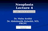 Neoplasia Lecture 4 Dr. Maha Arafah Dr. Abdulmalik Alsheikh, MD, FRCPC CARCINOGENESIS Foundation block 2014 Pathology.