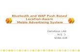 Bluetooth and WAP Push Based Location-Aware Moble Advertising System DataBase LAB M.S. 3 SORA KIM.