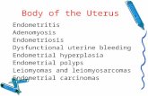 Body of the Uterus Endometritis Adenomyosis Endometriosis Dysfunctional uterine bleeding Endometrial hyperplasia Endometrial polyps Leiomyomas and leiomyosarcomas.