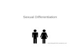 Sexual Differentiation .