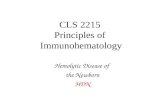 CLS 2215 Principles of Immunohematology Hemolytic Disease of the Newborn HDN.