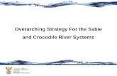 Overarching Strategy For the Sabie and Crocodile River Systems.
