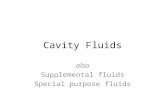 Cavity Fluids also Supplemental fluids Special purpose fluids.