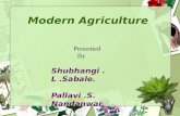 Modern Agriculture Presented By Shubhangi. L.Sabale. Pallavi.S. Nandanwar.