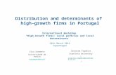 Distribution and determinants of high-growth firms in Portugal International Workshop “High-Growth firms: Local policies and local determinants” 28th March.