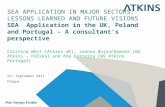 SEA APPLICATION IN MAJOR SECTORS: LESSONS LEARNED AND FUTURE VISIONS SEA Application in the UK, Poland and Portugal – A consultant’s perspective Cristina.