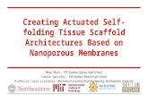 Creating Actuated Self-folding Tissue Scaffold Architectures Based on Nanoporous Membranes Megi Maci, YSP Student, Quincy High School  Camilo Gonzalez,