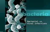 Bacterial vs. Viral infections. Bell Ringer 1.Linnaeus's two-word naming system is called… 2.Several different classes make up a(an)… 3.Multicellular.
