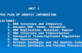 UNIT 1 THE FLOW OF GENETIC INFORMATION LECTURES: 1. DNA Structure and Chemistry 2. Genomic DNA, Genes, Chromatin 3. DNA Replication, Mutation, Repair 4.