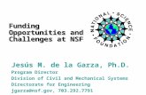Funding Opportunities and Challenges at NSF Jesús M. de la Garza, Ph.D. Program Director Division of Civil and Mechanical Systems Directorate for Engineering.