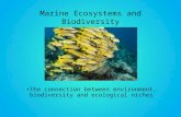 Marine Ecosystems and Biodiversity The connection between environment, biodiversity and ecological niches.