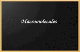 Macromolecules. Composed of long chains of smaller molecules Macromolecules are formed through the process of _____________. Polymerization= large compounds.