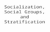 Socialization, Social Groups, and Stratification.