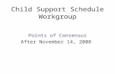 Child Support Schedule Workgroup Points of Consensus After November 14, 2008.