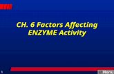 Menu 1 CH. 6 Factors Affecting ENZYME Activity. Menu 2 Catabolic and Anabolic Reactions  The energy-producing reactions within cells generally involve.