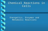 Chemical Reactions in Cells Energetics, Enzymes and Metabolic Reactions.
