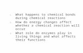 1. What happens to chemical bonds during chemical reactions 2. How do energy changes affect whether a chemical reaction will occur 3. What role do enzymes.