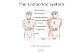 The Endocrine System Dr. Anderson GCIT. Endocrine System A collection of glands that work together to maintain the homeostasis of the body by: Coordinating.