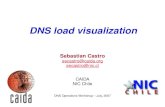 Sebastian Castro secastro@caida.org secastro@nic.cl CAIDA NIC Chile DNS Operations Workshop – July, 2007 DNS load visualization.